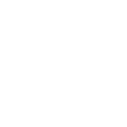 Autolomous logo