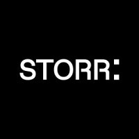 Storr logo