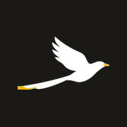 MAGPIE logo