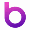 Bridgit Care logo