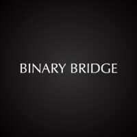 Binary Bridge logo
