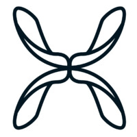 SKYSEED logo