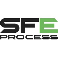 SFE PROCESS logo