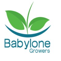 Babylone Growers logo