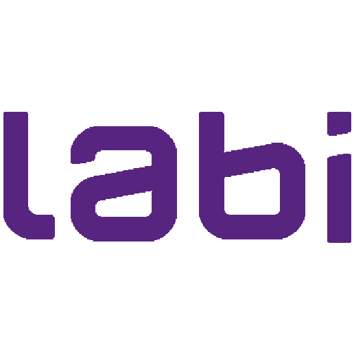 Labi Exames logo