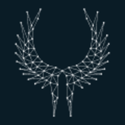Valkyrie logo