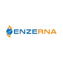 Enzerna logo