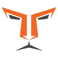 Lion TCR logo