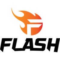 Team Flash logo