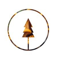 Single.Earth logo