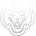gruup logo