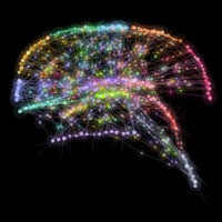 Sci2sci logo