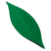 EVR Foods (Lavva) logo